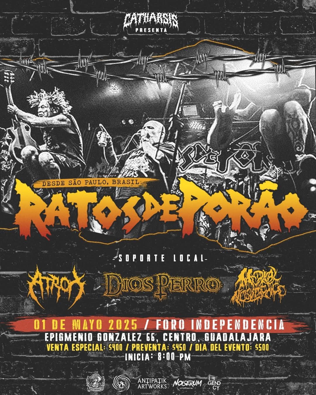 Ratosdeporao